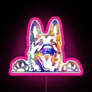 Rainbow GSD RGB Neon Sign