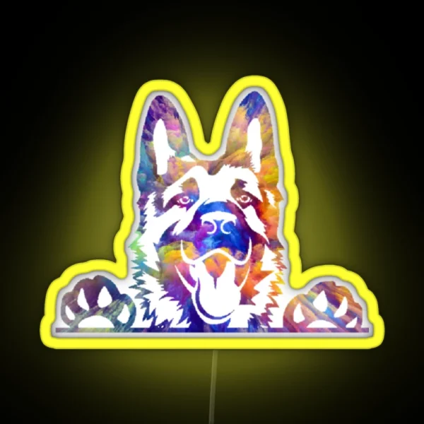 Rainbow GSD RGB Neon Sign