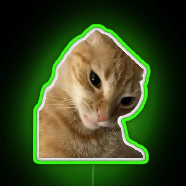 Ratchet Cat RGB Neon Sign