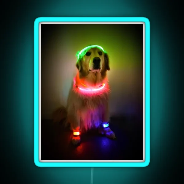 Rave Vink RGB Neon Sign