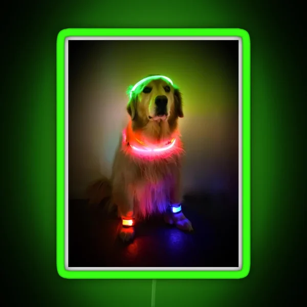 Rave Vink RGB Neon Sign