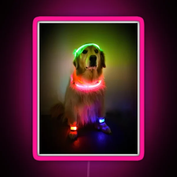Rave Vink RGB Neon Sign