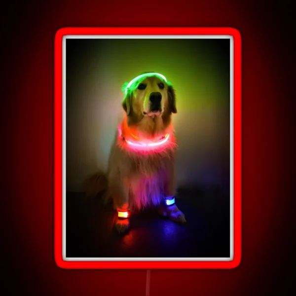 Rave Vink RGB Neon Sign