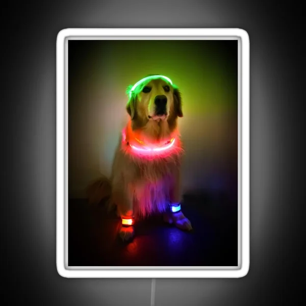 Rave Vink RGB Neon Sign
