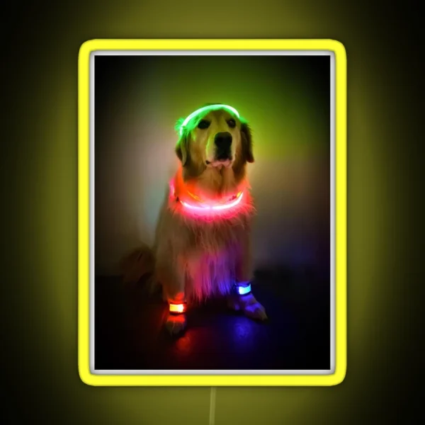 Rave Vink RGB Neon Sign