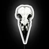 Ethereal raven skull silhouette illuminated in vibrant RGB LED light