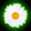 Add vibrant daisy flower ambiance with colorful realistic LED neon glow.