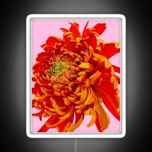 Red Chrysanthemum 2 RGB Neon Sign