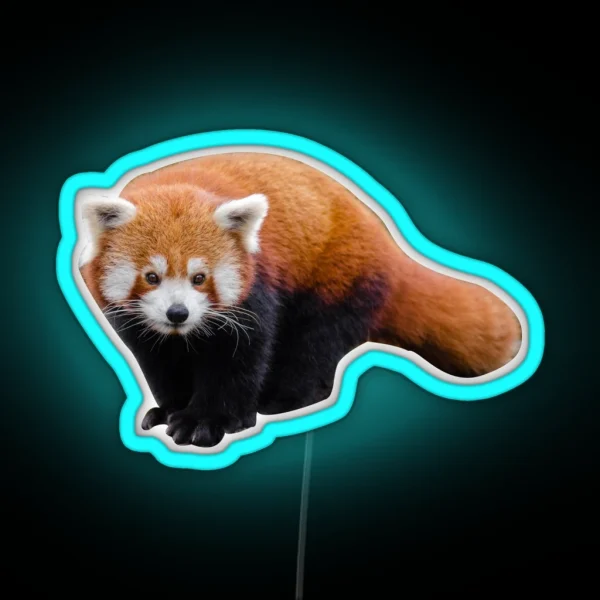 Red Panda RGB Neon Sign