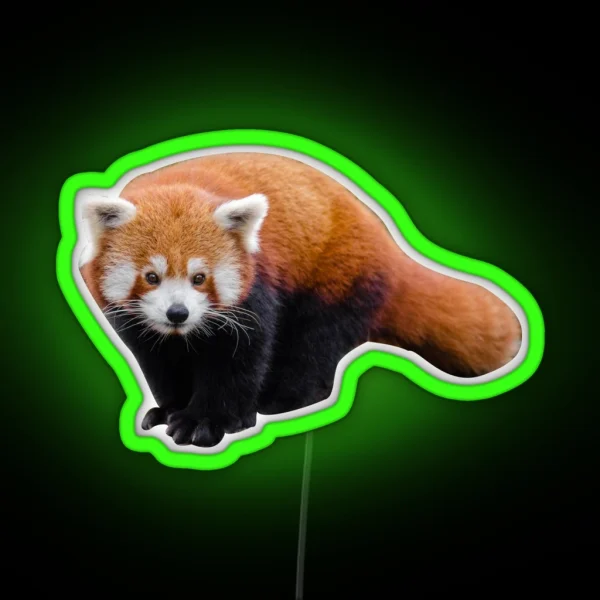 Red Panda RGB Neon Sign
