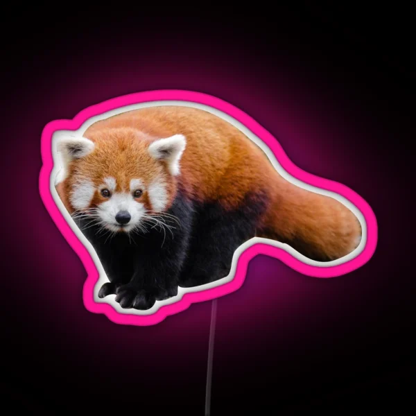 Red Panda RGB Neon Sign