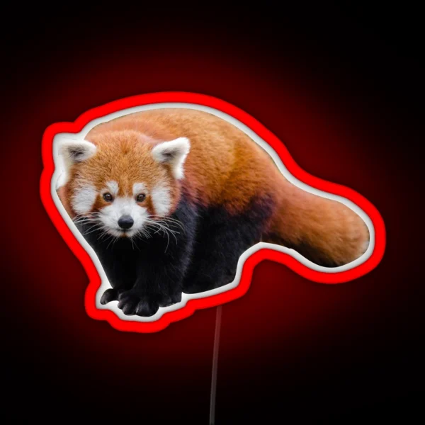 Red Panda RGB Neon Sign