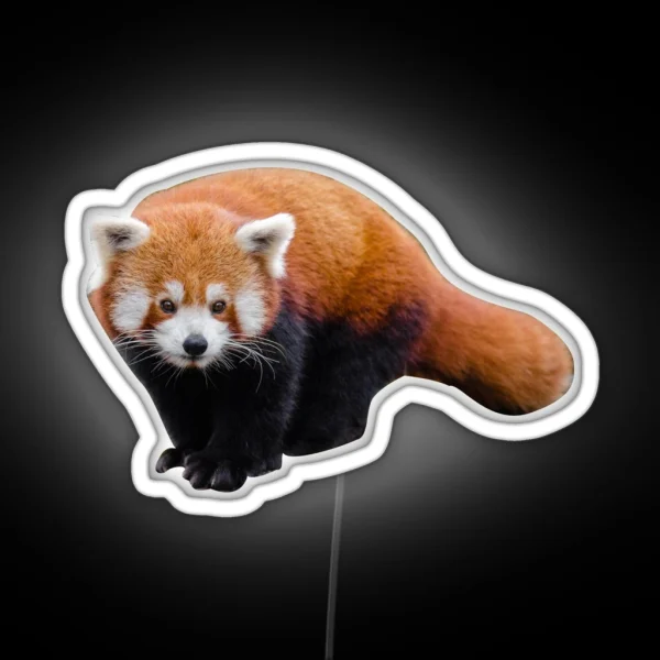 Red Panda RGB Neon Sign