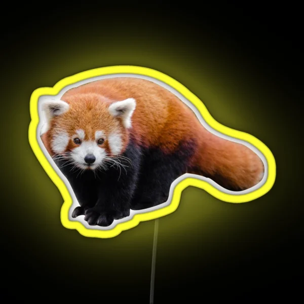 Red Panda RGB Neon Sign