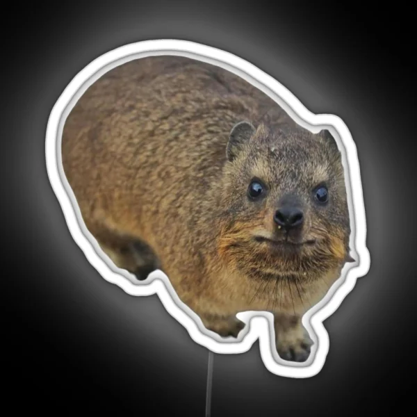 Rock Hyrax Adorable RGB Neon Sign