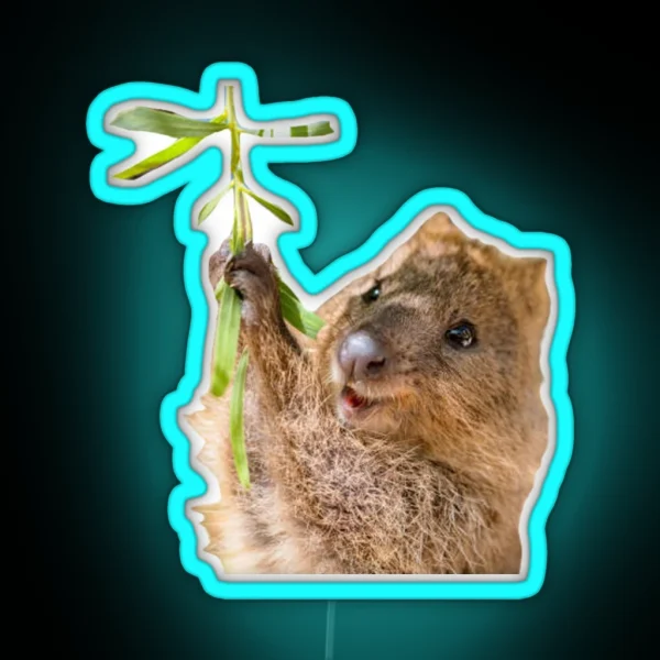 Rock Hyrax Dassie Quokka RGB Neon Sign