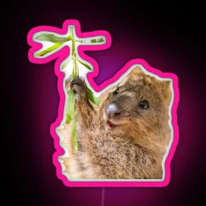 Rock Hyrax Dassie Quokka RGB Neon Sign