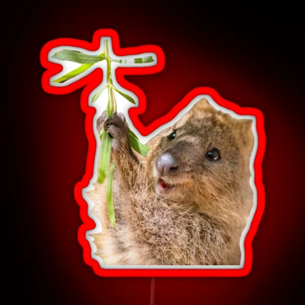 Rock Hyrax Dassie Quokka RGB Neon Sign