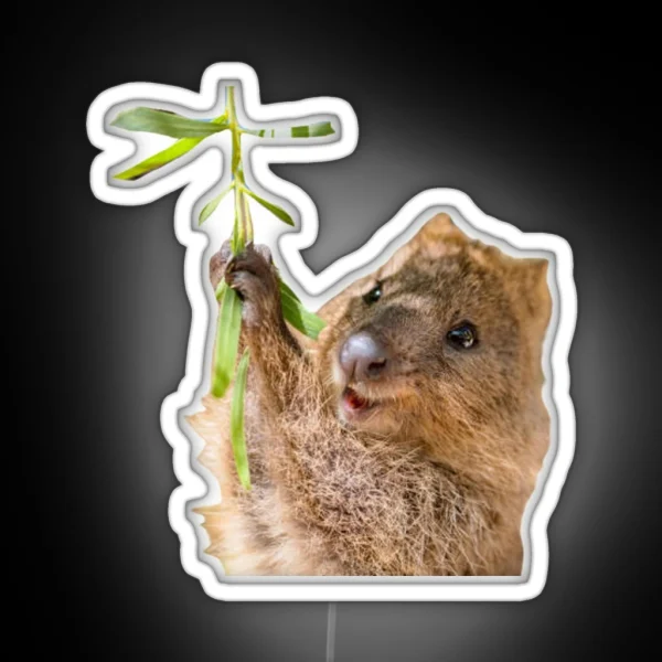 Rock Hyrax Dassie Quokka RGB Neon Sign