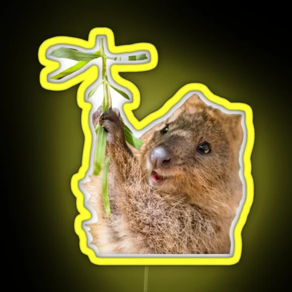 Rock Hyrax Dassie Quokka RGB Neon Sign