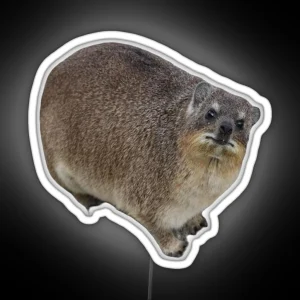 Rock Hyrax Dassie RGB Neon Sign