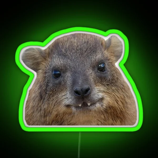 Rock Hyrax Face RGB Neon Sign