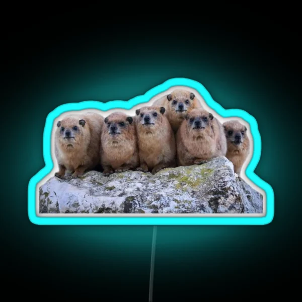 Rock Hyrax Family RGB Neon Sign