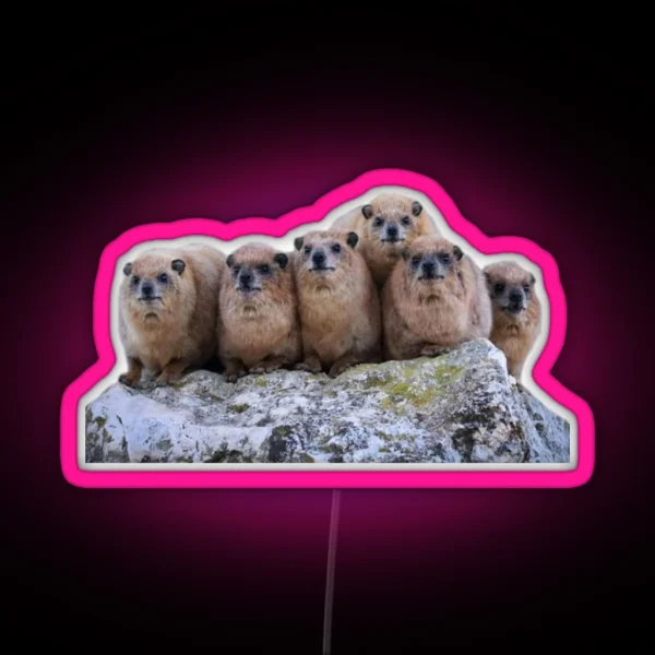 Rock Hyrax Family RGB Neon Sign