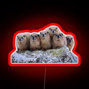 Rock Hyrax Family RGB Neon Sign