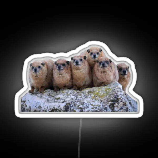 Rock Hyrax Family RGB Neon Sign