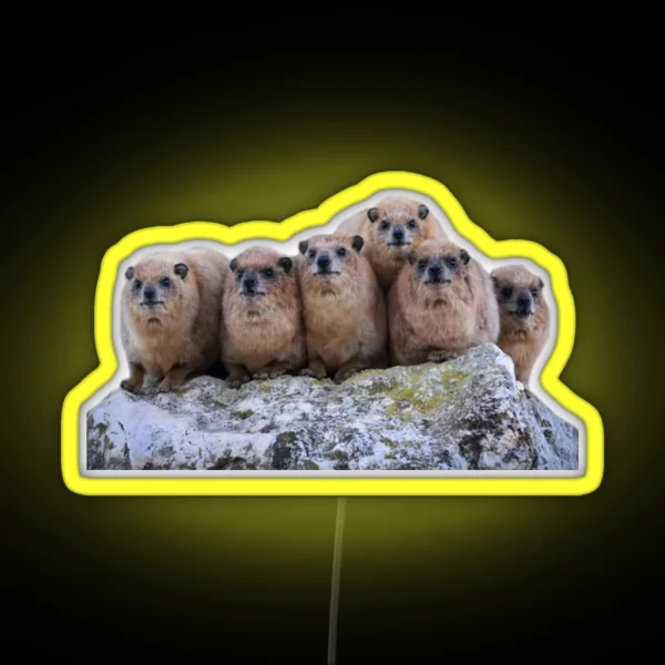 Rock Hyrax Family RGB Neon Sign