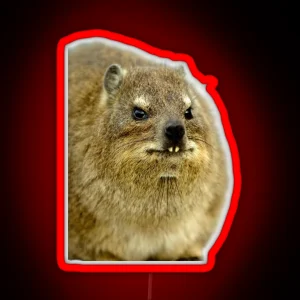 Rock Hyrax Photo Dassie Cute Vampire Potato Essential Led RGB Neon Sign