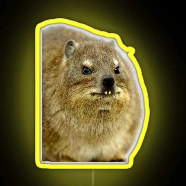 Rock Hyrax Photo Dassie Cute Vampire Potato Essential Led RGB Neon Sign