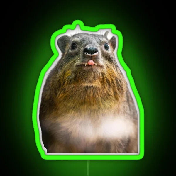 Rock Hyrax Photo Dassie Cute Vampire Potato Essential Led RGB Neon Sign