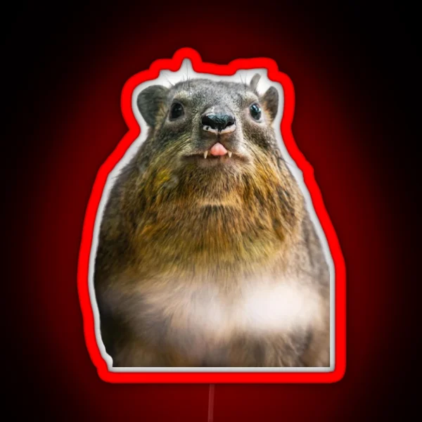 Rock Hyrax Photo Dassie Cute Vampire Potato Essential Led RGB Neon Sign