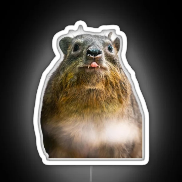 Rock Hyrax Photo Dassie Cute Vampire Potato Essential Led RGB Neon Sign