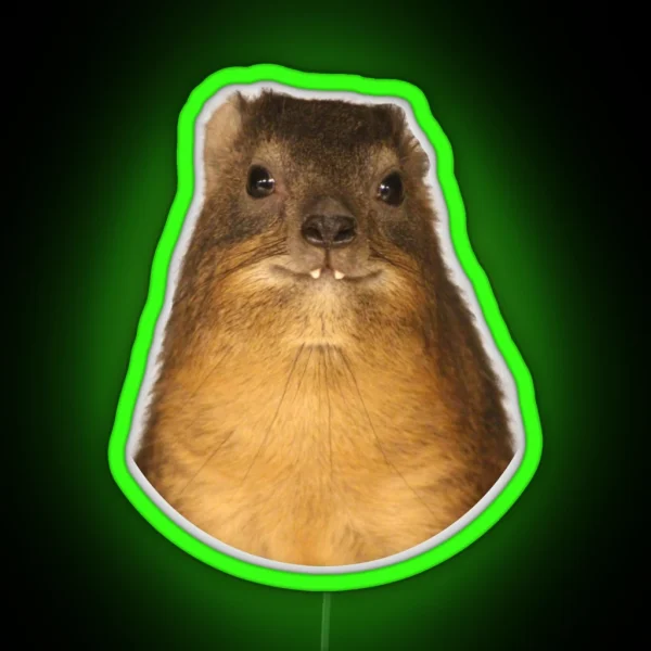 Rock Hyrax Photo Dassie Cute Vampire Potato RGB Neon Sign