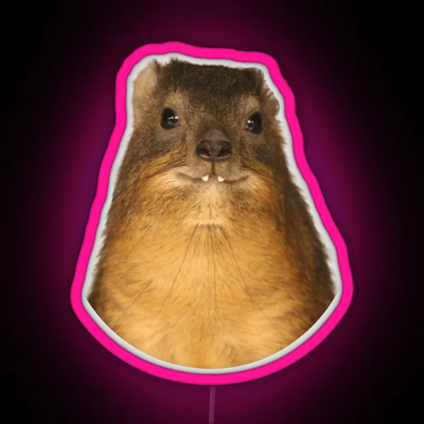 Rock Hyrax Photo Dassie Cute Vampire Potato RGB Neon Sign