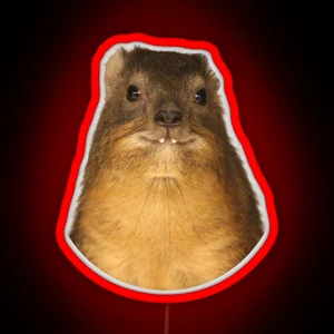 Rock Hyrax Photo Dassie Cute Vampire Potato RGB Neon Sign