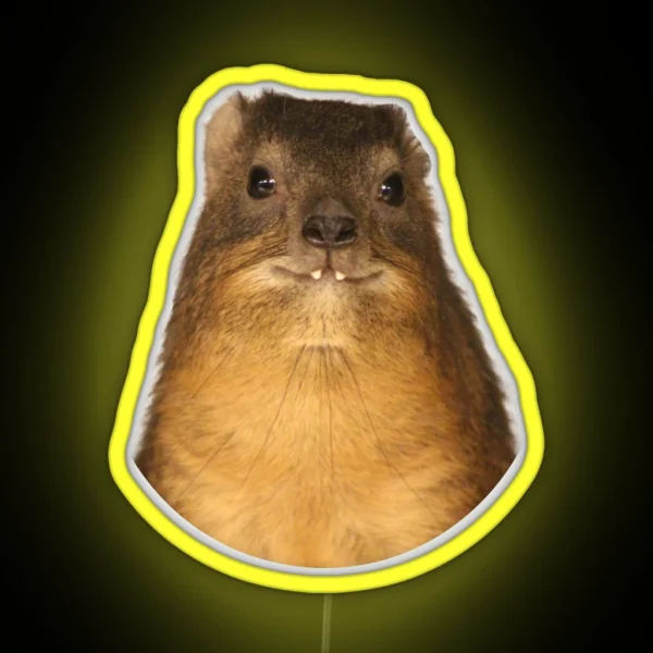 Rock Hyrax Photo Dassie Cute Vampire Potato RGB Neon Sign