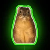 Unique Rock Hyrax Dassie Decorative Neon Sign with Vibrant RGB Colors
