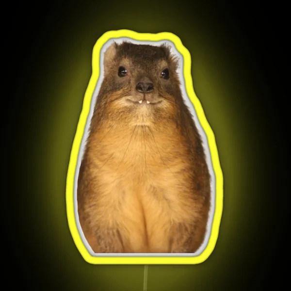 Rock Hyrax Photo Dassie Cute Vampire Potato RGB Neon Sign