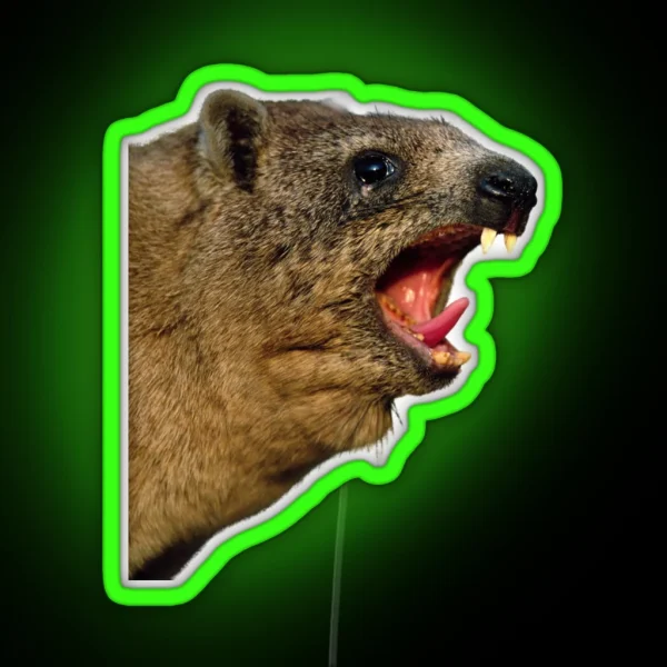 Rock Hyrax Screaming Awawa Dassie Cute Vampire Potato RGB Neon Sign