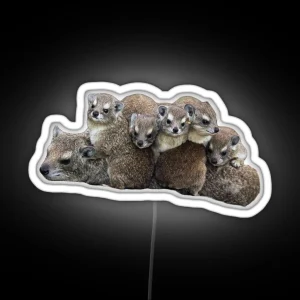 Rock Hyrax With Babies RGB Neon Sign