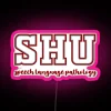RGB LED canvas display for Sacred Heart University speech pathology department