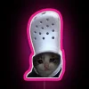 RGB LED digital display art neon signs sad cat crocodile