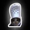 Whimsical Sad Feline Illuminated Neon Light Decor Wall Sign Art