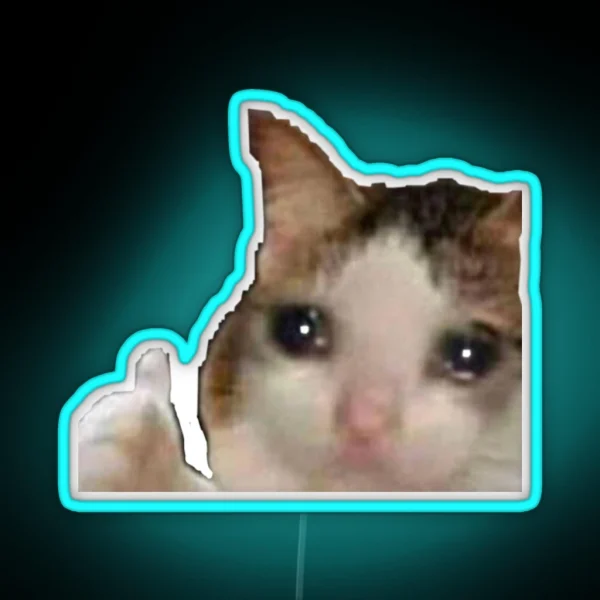 Sad Cat Meme Led RGB Neon Sign