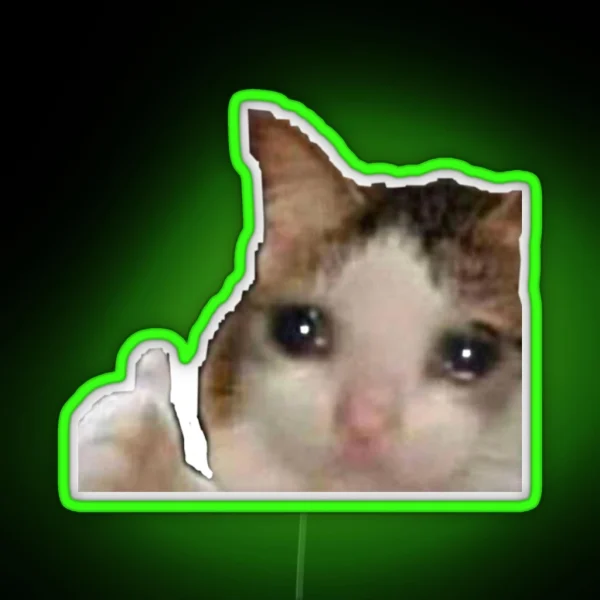 Sad Cat Meme Led RGB Neon Sign
