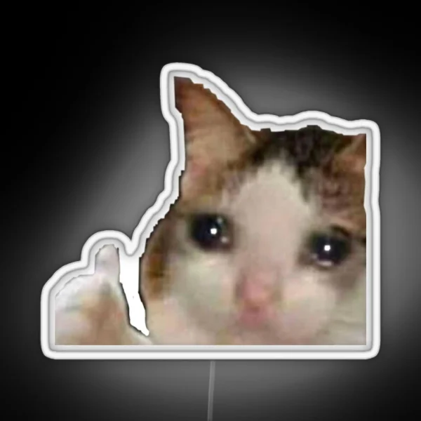 Sad Cat Meme Led RGB Neon Sign